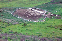 Sheep pen in southern Albanian (Photo: Robert Elsie, March 2008)