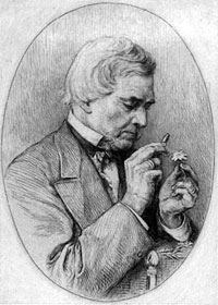 August Grisebach (1814-1879)