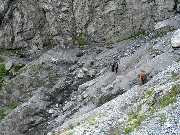 Path over Valbona Pass at 1900 m. (Photo: Robert Elsie, July 2011).